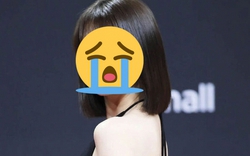 Nữ diễn viên khốn khổ bị fan cuồng đeo bám, tưởng tượng "đã có con với nhau" trong cuốn nhật ký đầy chi tiết hãi hùng