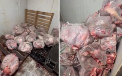 Đột kích lò mổ lậu phát hiện hơn 500kg thịt heo bốc mùi và heo bệnh chuẩn bị "lên mâm"