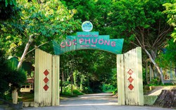 Khuyến cáo những ai tới Vườn Quốc gia Cúc Phương ngay lúc này