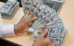 Người mua, bán ngoại tệ sẽ bị tịch thu số tiền nếu thực hiện hành vi sau