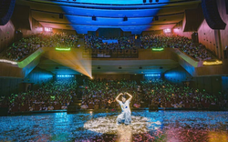 Thế hệ nghệ sĩ mới vào đường đua