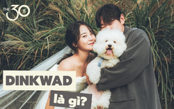 Giải mã DINKWAD: Tại sao người ta lại chọn kết hôn, nhân đôi thu nhập, không có con nhưng nuôi chó?
