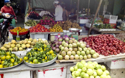 Top 5 loại quả mùa hè dễ “ngậm” thuốc trừ sâu nhất