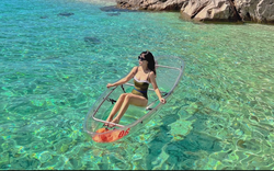 Không phải Phú Quốc, Việt Nam có một nơi vừa vào top 7 điểm trải nghiệm rùa biển nổi bật nhất thế giới