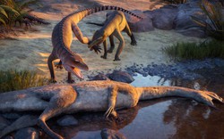 Sinh vật lạ lộ diện sau 210 triệu năm vùi ở Trang Trại Ma