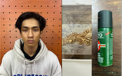 Bắt tạm giam Nguyễn Minh Nghĩa sinh năm 2005