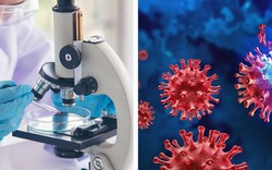 Tổ chức Y tế Thế giới công bố tin vui đến Bệnh viện Bệnh Nhiệt đới TPHCM