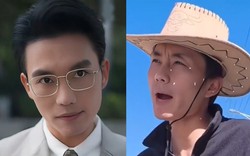 Nhiều tổng tài về quê làm nông