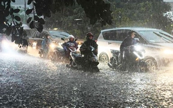 Dự báo thời tiết ngày 24/4: Hà Nội mưa rào và dông, trời mát mẻ