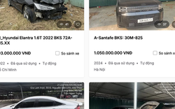 Ngân hàng thu giữ loạt xe ô tô điện của Mai Linh Lào Cai