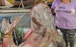 Nữ ngư dân câu được con cá khổng lồ nặng 121 kg, dài 2,28 mét