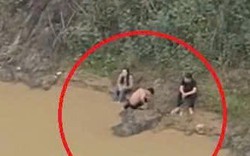VIDEO: Hai nam sinh lao xuống sông cứu nữ sinh lớp 11 nhảy cầu