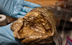 Giải mã "trứng quái vật ngoài hành tinh" xuất hiện ở 3.200m dưới đáy biển khiến cả thế giới đau đầu suốt 3 năm qua