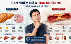 Gan nhiễm mỡ và máu nhiễm mỡ, bệnh nào đáng lo hơn?