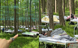 Cuộc thi ngủ trong rừng đang hot ở Trung Quốc: Kín 400 suất đăng ký, tiền thưởng cho “thần ngủ" là bao nhiêu?