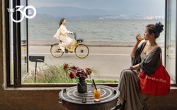 Giải mã Youth Retirement Homes: Vì sao người 25-30 không còn mơ thăng chức, mua nhà mà chỉ muốn vào “viện dưỡng lão”?