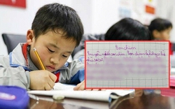 Học sinh tiểu học tả Con chim, đọc xong cười chảy nước mắt!