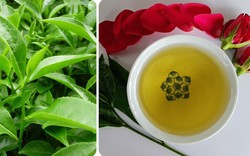 Uống nước chè xanh tươi có tác dụng gì?