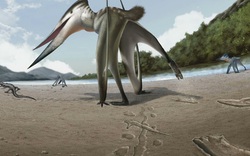 Hàn Quốc: Dấu chân trên đá hé lộ sự tồn tại của sinh vật lạ