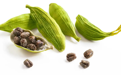 Loại hạt "đắt đỏ bậc nhất thế giới", chỉ hơn 10 nước trồng được, Việt Nam cũng có