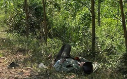 Cụ ông 79 tuổi mang "thỏi vàng" nằm lả bên vệ đường ở giữa rừng tràm