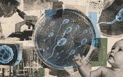 Tinh trùng được tạo ra trong phòng thí nghiệm: Một giải pháp mới giúp nam giới mắc chứng vô tinh có thể thụ thai