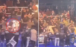 Võ sĩ vừa thắng trận đã bị ném thẳng cái ghế vào người, đấm đá túi bụi, cả võ đài hỗn loạn như trận chiến