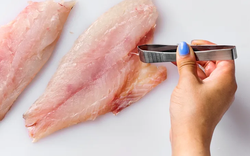 Vì sao người Mỹ chỉ ăn những loại cá không xương?