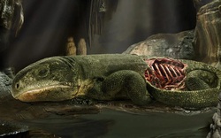 "Xác ướp” 289 triệu năm hé lộ điều quan trọng về loài người