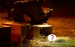 Loài vật từng bị tuyên bố tuyệt chủng bất ngờ "sống lại" sau 30 năm: Khoảng 100 cá thể đã trở về