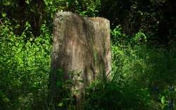 Một sinh viên vô tình tìm thấy hòn đá được giấu kín trong khu rừng ở Anh, dẫn đến một bí mật 3.700 năm