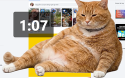 Tiện ích mới siêu HOT: Một chú mèo béo ngờ chiếm trọn màn hình, giúp người dùng “cai” lướt mạng vô thức