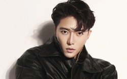 Tác giả ca khúc có câu hát "lúa chín cao nhưng chẳng hề cúi đầu" là ai?