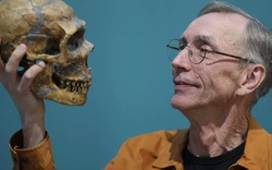 Thế giới từng có loài người khác thông minh như chúng ta?