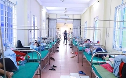 Tìm ra 'thủ phạm' gây ngộ độc khiến hơn 60 người nhập viện ở Nghệ An