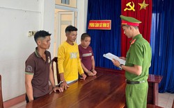 Đánh người lún sọ vì cho rằng bóp còi xe khiến đàn trâu hoảng sợ, 3 người bị bắt