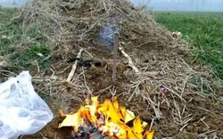 Đi tảo mộ Thanh Minh: 2 khung giờ xấu nên tránh