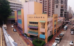 "Cú sốc hạt nhân" giáo dục Hong Kong: 15 trường tiểu học không tuyển nổi một lớp 1, trường cũ của Trưởng đặc khu có tên trong danh sách