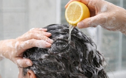 Lợi ích và rủi ro của việc gội đầu bằng chanh