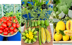 Sự thật về người phụ nữ Đồng Nai nhiều năm "không bước chân ra chợ", bí mật nằm ở tầng 3