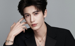 Trương Lăng Hách buộc phải đổi nghề