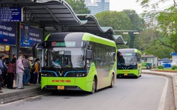 Hà Nội chưa có chủ trương miễn phí xe buýt cho tất cả người dân