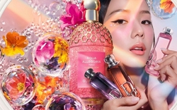 Linh nghiệm hơn cả đi cầu duyên: Top nước hoa "gọi đào hoa" vượng phong thủy giúp bạn thoát ế ngay năm 2026