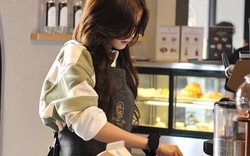 Thạc sĩ 37 tuổi, chuyên môn cao vẫn đi bưng bê, phụ bếp: “Văn võ song toàn không thoát thất nghiệp?”