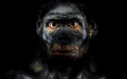 Bí ẩn bộ gen người: Tổ tiên chúng ta từng lai tạo với hai loài siêu cổ xưa, riêng biệt và bí ẩn