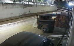 Bà bị cán tử vong khi hướng dẫn cháu trai đỗ xe