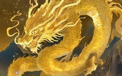 4 con giáp hợp màu vàng, cứ dùng là thấy may - 2 con giáp không nên lạm dụng