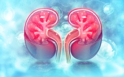 Muốn bảo vệ 2 quả thận, nhất định phải hạn chế 8 loại thực phẩm này