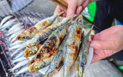 Loại cá nhiều omega-3 hơn cá hồi, được Mỹ đánh giá tốt bậc nhất thế giới: Ngư dân Việt coi là “lộc biển”