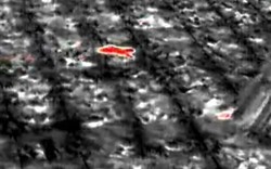 Sinh vật bí ẩn phá nát vườn chuối suốt 2 tuần: 60 người truy tìm khi camera nhiệt ghi lại bóng dáng lạ